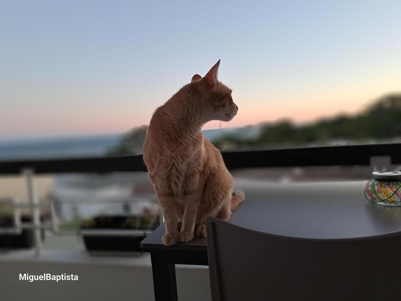 Apartamentos Do Parque Αλμπουφέιρα Εξωτερικό φωτογραφία